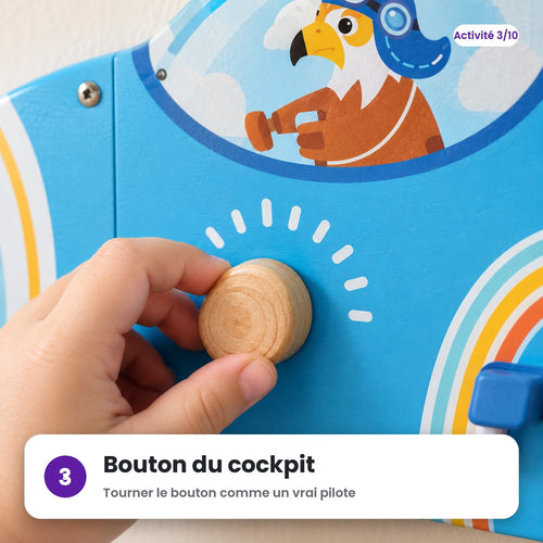 Bouton du cockpit