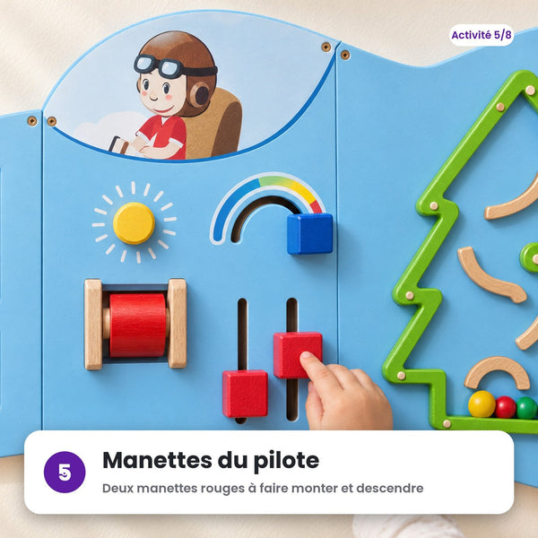 Manettes du pilote