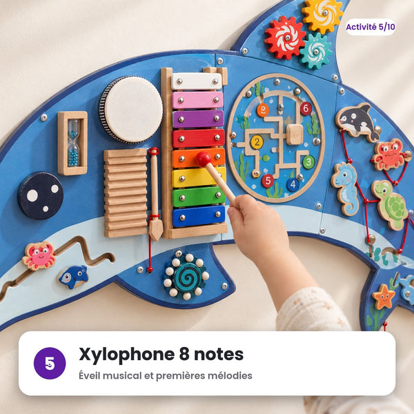 Xylophone 8 notes