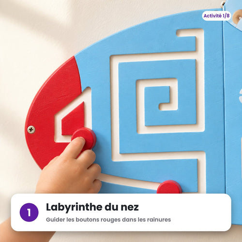 Labyrinthe du nez