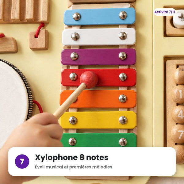 Xylophone 8 notes