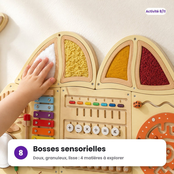 Bosses sensorielles