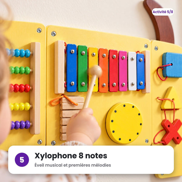 Xylophone 8 notes