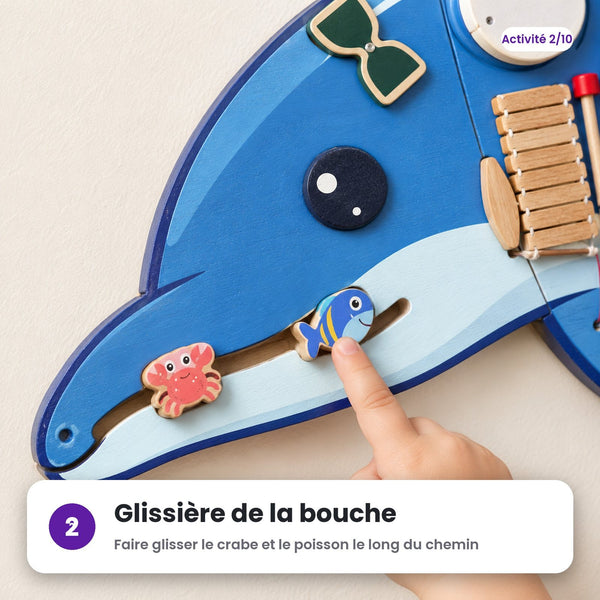 Glissière de la bouche