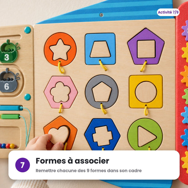 Formes à associer