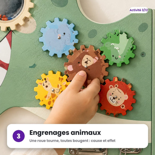 Engrenages animaux