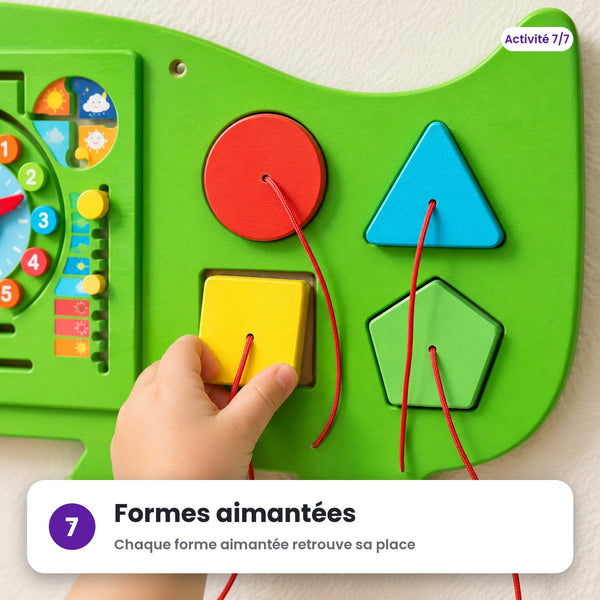Formes aimantées